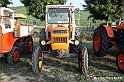 VBS_6292 - 4° Trattorata d'Epoca nelle Colline Alfieri - Tenuta Carlin de Paolo